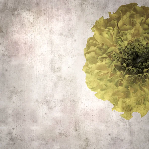 黄色のダブルタゲットの花と正方形スタイリッシュな古い質感の紙の背景 — ストック写真