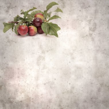 kare biçiminde eski desenli arka plan küçük bahçe kaçışı kırmızı erikli