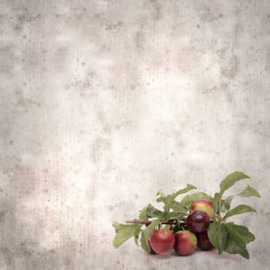 kare biçiminde eski desenli arka plan küçük bahçe kaçışı kırmızı erikli