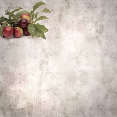 kare biçiminde eski desenli arka plan küçük bahçe kaçışı kırmızı erikli