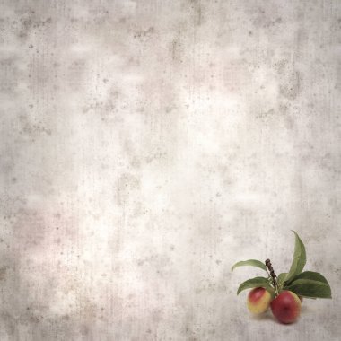 kare biçiminde eski desenli arka plan küçük bahçe kaçışı kırmızı erikli