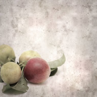 kare biçiminde küçük kırmızı erikli eski desenli kağıt arka plan