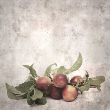 kare biçiminde küçük kırmızı erikli eski desenli kağıt arka plan