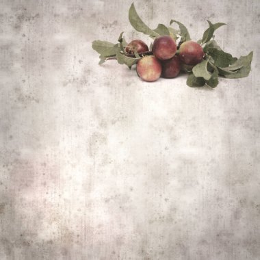 kare biçiminde küçük kırmızı erikli eski desenli kağıt arka plan