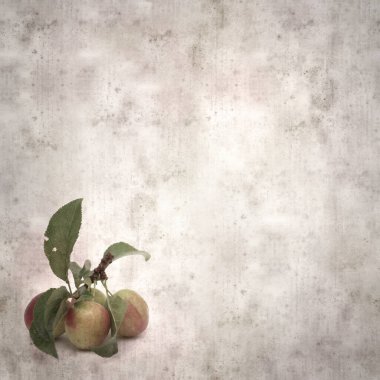 kare biçiminde küçük kırmızı erikli eski desenli kağıt arka plan