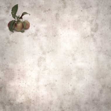 kare biçiminde küçük kırmızı erikli eski desenli kağıt arka plan