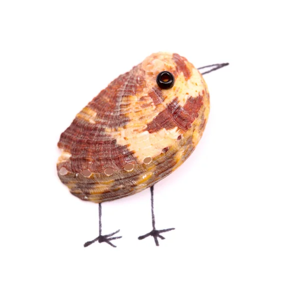 Deniz Kabuğundan Yapılmış Komik Küçük Kuşlar Eskizce Çizilmiş Bacakları Beyaz — Stok fotoğraf