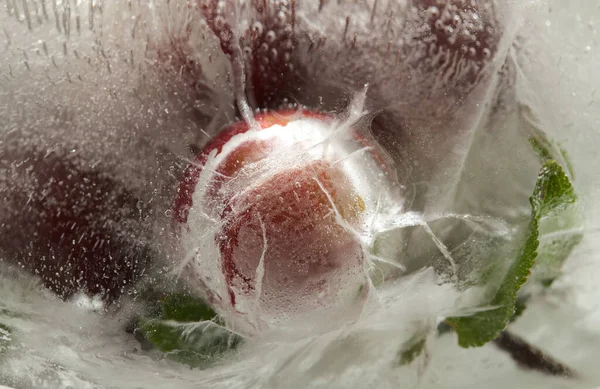 氷の層の中に小さな丸い梅と氷のテクスチャ — ストック写真