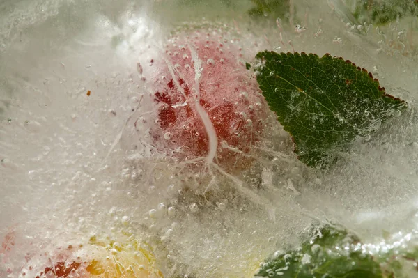 Textura Hielo Con Pequeñas Ciruelas Redondas Dentro Capa Hielo —  Fotos de Stock