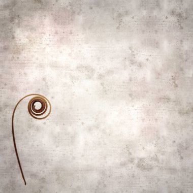 kare biçiminde eski dokulu kağıt arka planda tutku çiçeğinin sarmal filizleri 