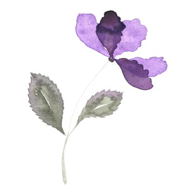 suluboya, beyaz arkaplanda basit çiçekler