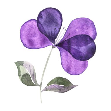 suluboya, beyaz arkaplanda basit çiçekler