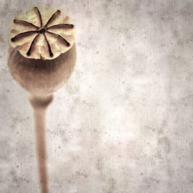 Haşhaş tohumu kapsülleri ile biçimlendirilmiş eski kağıt arka plan