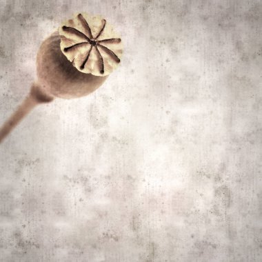 Haşhaş tohumu kapsülleri ile biçimlendirilmiş eski kağıt arka plan