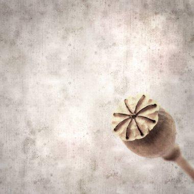 Haşhaş tohumu kapsülleri ile biçimlendirilmiş eski kağıt arka plan