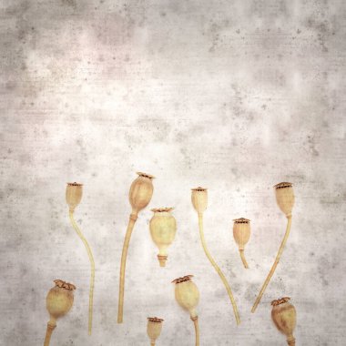 Haşhaş tohumu kapsülleri ile biçimlendirilmiş eski kağıt arka plan