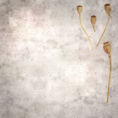 Haşhaş tohumu kapsülleri ile biçimlendirilmiş eski kağıt arka plan