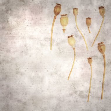 Haşhaş tohumu kapsülleri ile biçimlendirilmiş eski kağıt arka plan