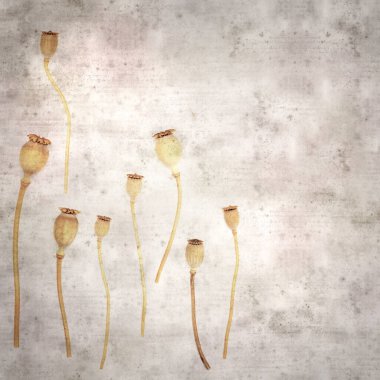 Haşhaş tohumu kapsülleri ile biçimlendirilmiş eski kağıt arka plan