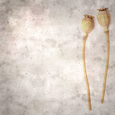 Haşhaş tohumu kapsülleri ile biçimlendirilmiş eski kağıt arka plan