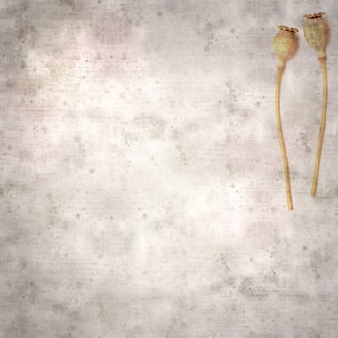 Haşhaş tohumu kapsülleri ile biçimlendirilmiş eski kağıt arka plan