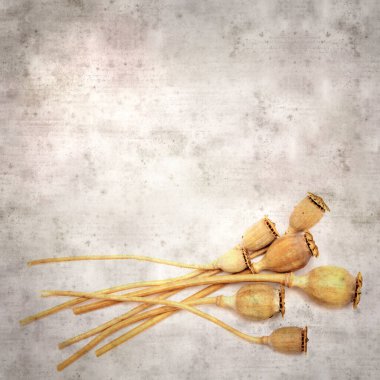 Haşhaş tohumu kapsülleri ile biçimlendirilmiş eski kağıt arka plan