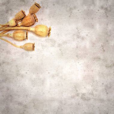 Haşhaş tohumu kapsülleri ile biçimlendirilmiş eski kağıt arka plan