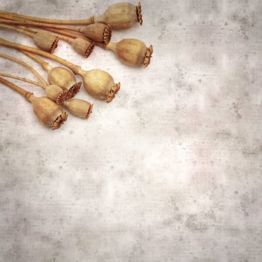 Haşhaş tohumu kapsülleri ile biçimlendirilmiş eski kağıt arka plan