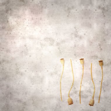 Haşhaş tohumu kapsülleri ile biçimlendirilmiş eski kağıt arka plan