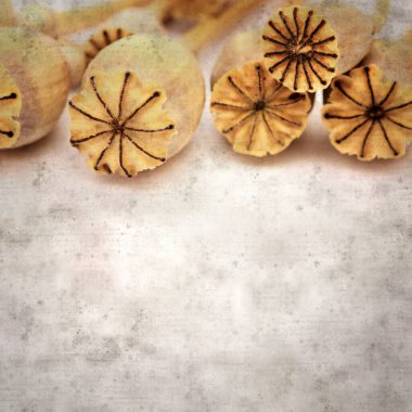 Haşhaş tohumu kapsülleri ile biçimlendirilmiş eski kağıt arka plan