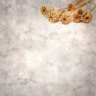 Haşhaş tohumu kapsülleri ile biçimlendirilmiş eski kağıt arka plan