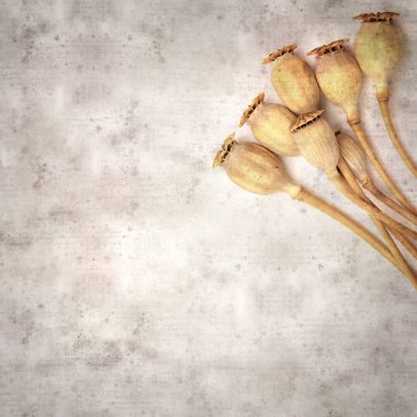 Haşhaş tohumu kapsülleri ile biçimlendirilmiş eski kağıt arka plan