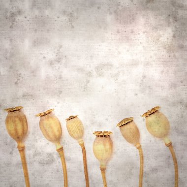 Haşhaş tohumu kapsülleri ile biçimlendirilmiş eski kağıt arka plan