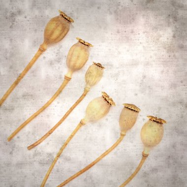 Haşhaş tohumu kapsülleri ile biçimlendirilmiş eski kağıt arka plan