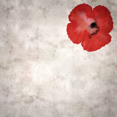 suluboya gelinciklerle süslü eski kağıt arka plan