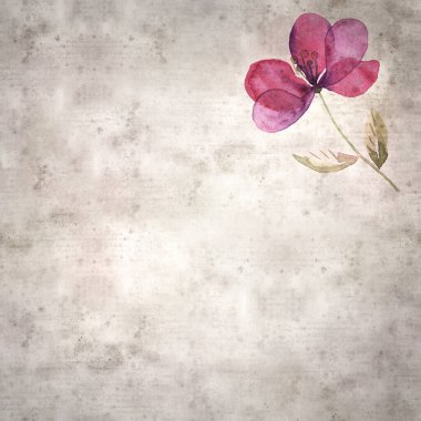  suluboya basit çiçeklerle süslü eski kare kağıt arka plan