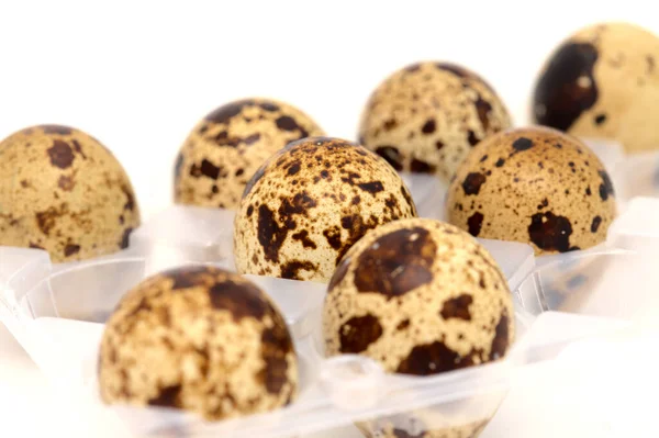 Pequenos Ovos Codorna Salpicados Isolados Sobre Fundo Branco — Fotografia de Stock