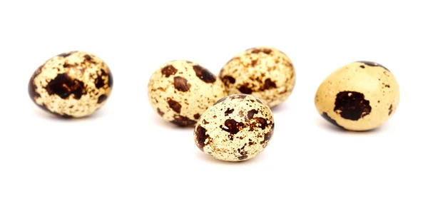Маленькі Плямисті Перепелині Яйця Ізольовані Білому Тлі — стокове фото