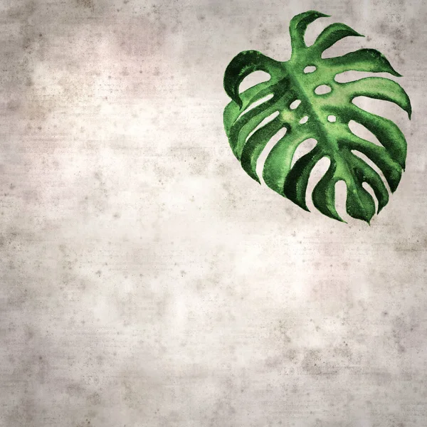 Suluboya canavar yaprağıyla biçimlendirilmiş eski kağıt arka plan