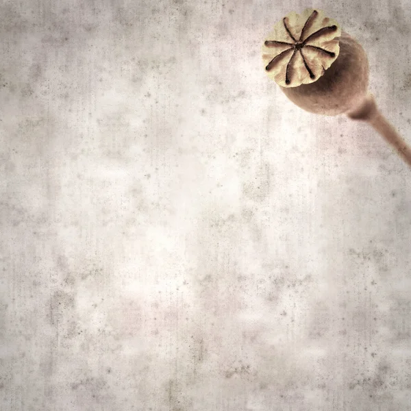 Haşhaş tohumu kapsülleri ile biçimlendirilmiş eski kağıt arka plan