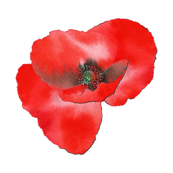 Colagem Digital Flor Papoula Vermelha Com Textura Aquarela Fundo Branco — Fotografia de Stock