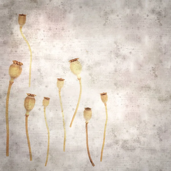 Haşhaş tohumu kapsülleri ile biçimlendirilmiş eski kağıt arka plan