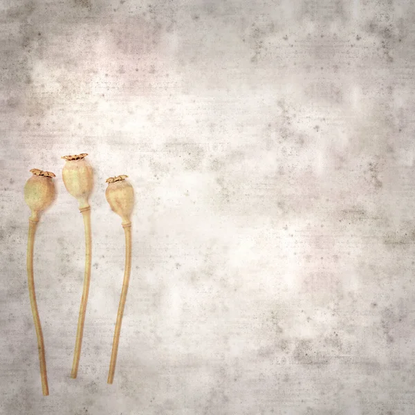 Haşhaş tohumu kapsülleri ile biçimlendirilmiş eski kağıt arka plan