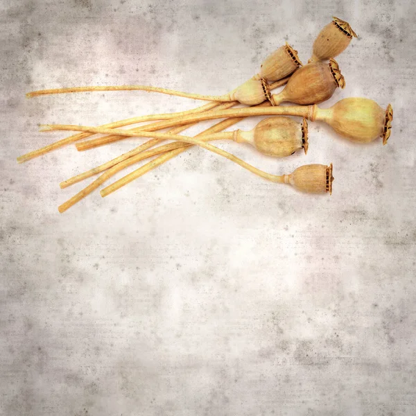 Haşhaş tohumu kapsülleri ile biçimlendirilmiş eski kağıt arka plan