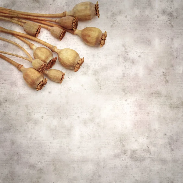 Haşhaş tohumu kapsülleri ile biçimlendirilmiş eski kağıt arka plan