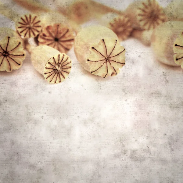 Haşhaş tohumu kapsülleri ile biçimlendirilmiş eski kağıt arka plan