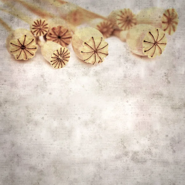 ケシの種子カプセルとスタイリッシュな質感の古い紙の背景 — ストック写真