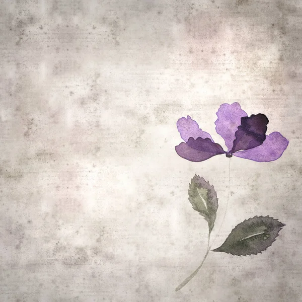 Stylish Square Old Paper Background Watercolor Simple Flowers — Stock Photo, Image