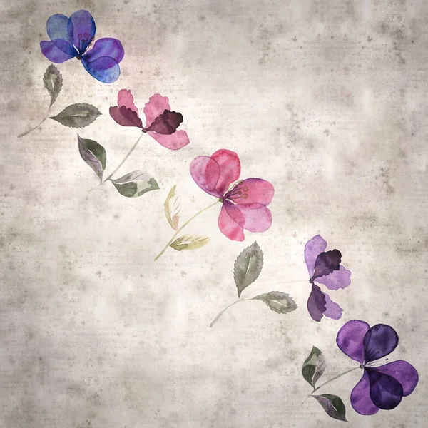 Elegant Fyrkantiga Gamla Papper Bakgrund Med Akvarell Enkla Blommor — Stockfoto
