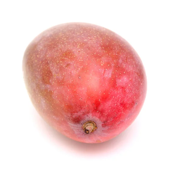 Rolnictwo Gran Canarii Dojrzałe Duże Owoce Mango Wyizolowane Białym Tle — Zdjęcie stockowe